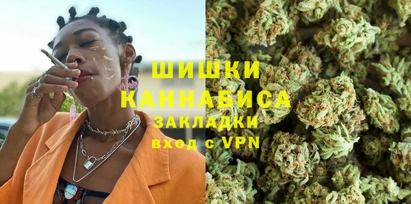 трава Аркадак