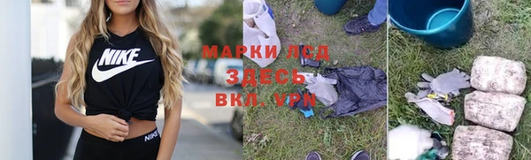 трава Аркадак