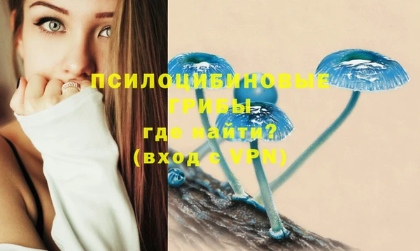 трава Аркадак